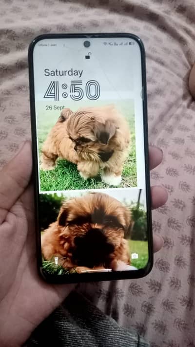 OPPO A6