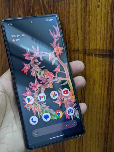 Google Pixel 6 All ok only after updte finger not show