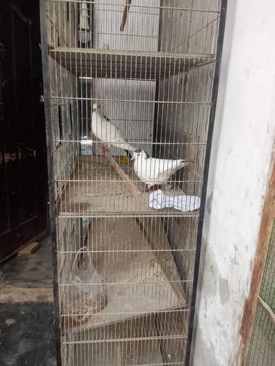 cage for sale 4 portion