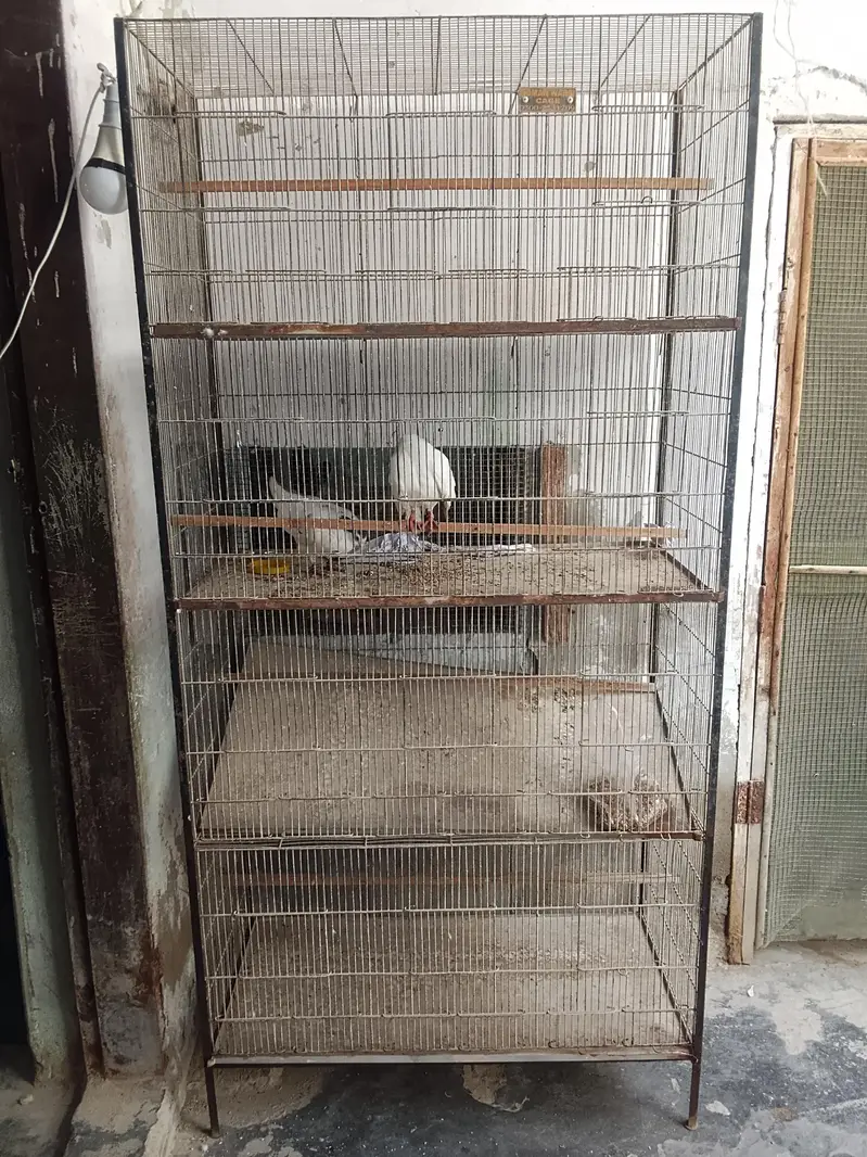cage for sale 4 portion — photo 2