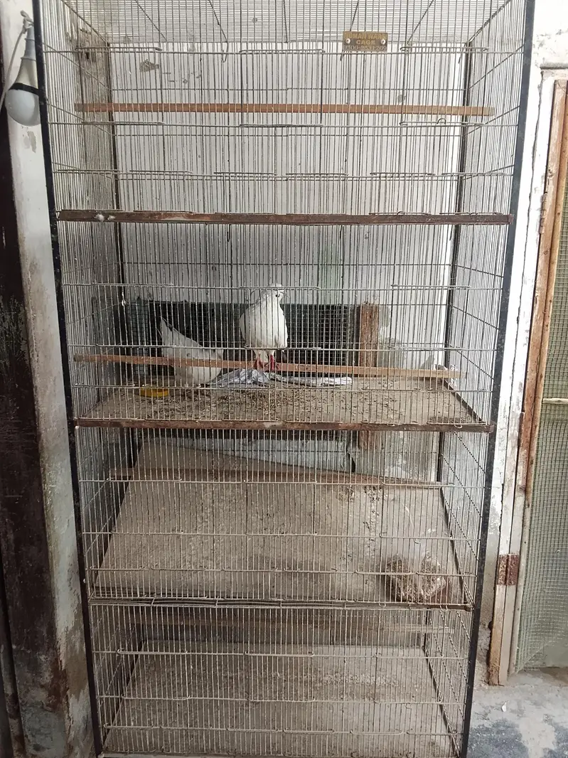 cage for sale 4 portion — photo 3