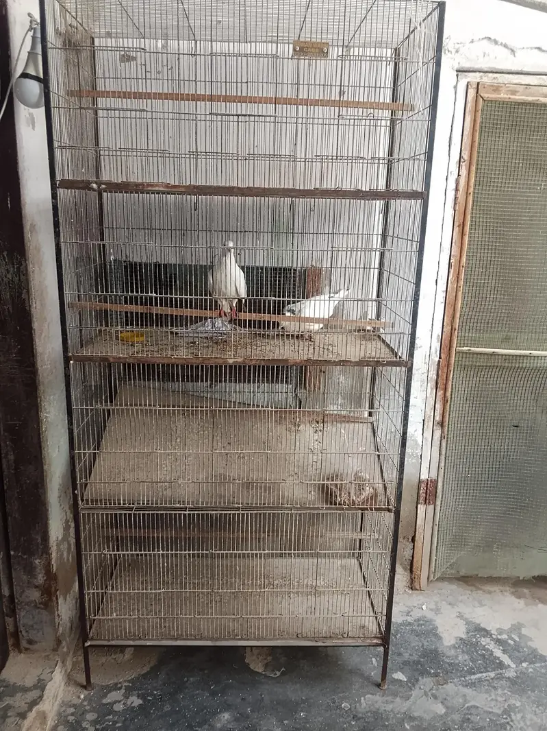 cage for sale 4 portion — photo 5