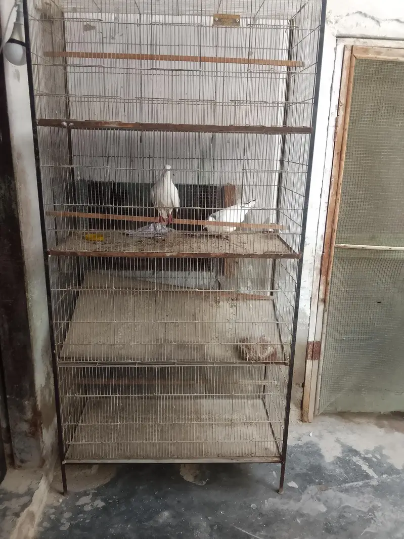 cage for sale 4 portion — photo 6