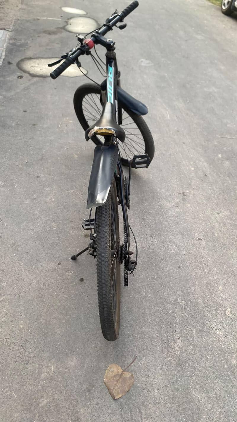 Mountain Cycle 2