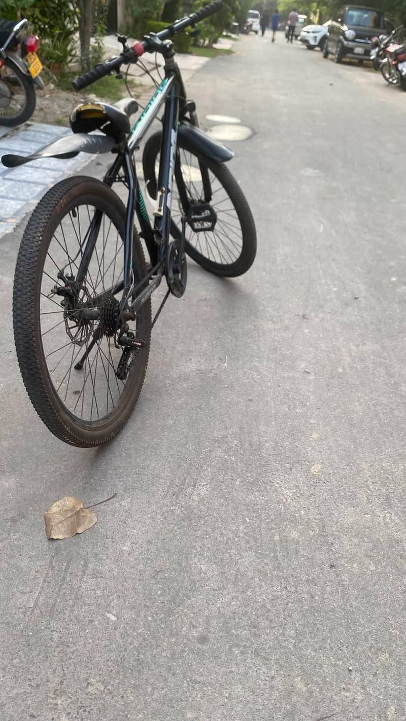 Mountain Cycle 5