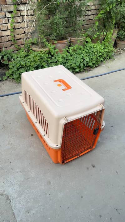 Large dogs jet box- used for sale