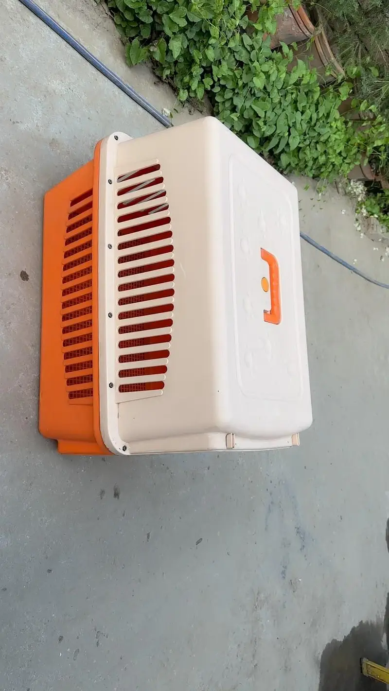 Large dogs jet box- used for sale — photo 3