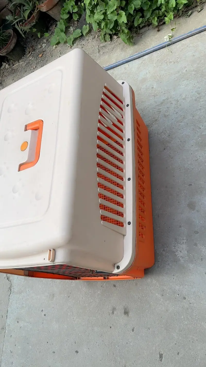 Large dogs jet box- used for sale — photo 5
