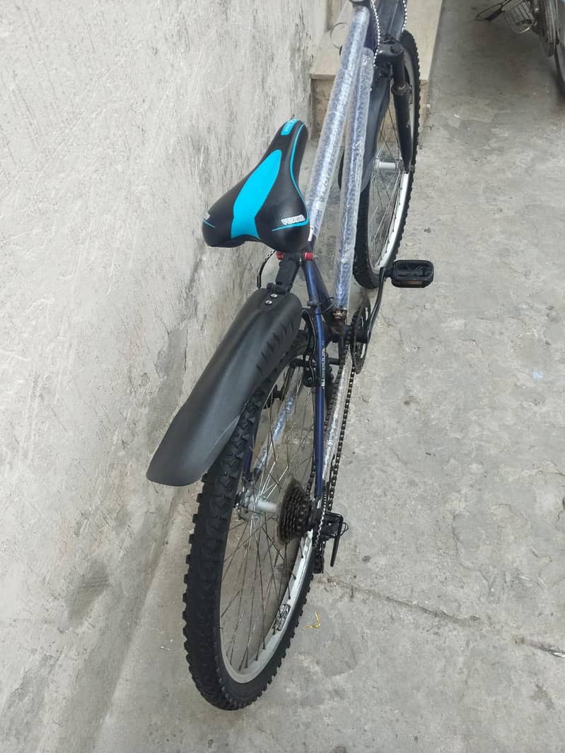 cycle: japanese import 6