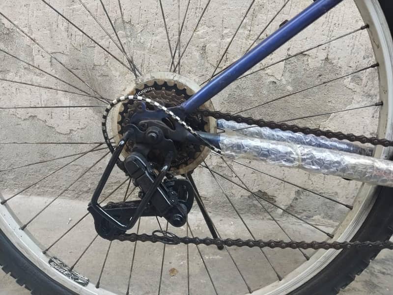 cycle: japanese import 11