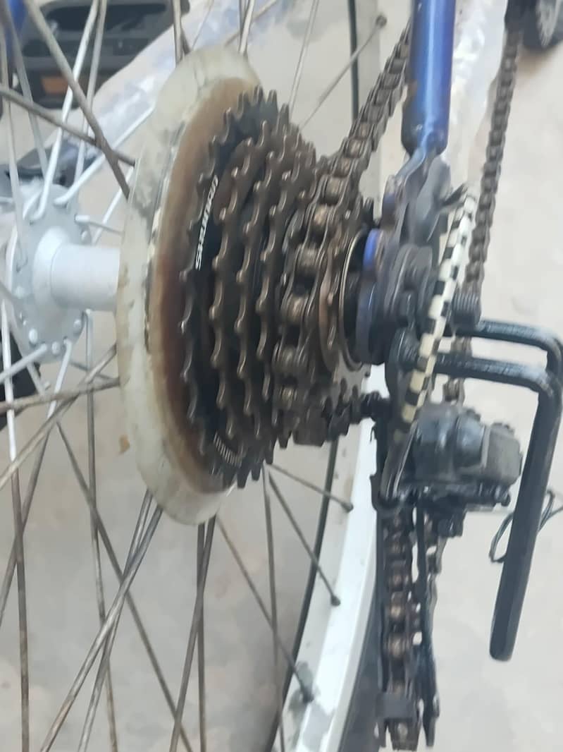 cycle: japanese import 14