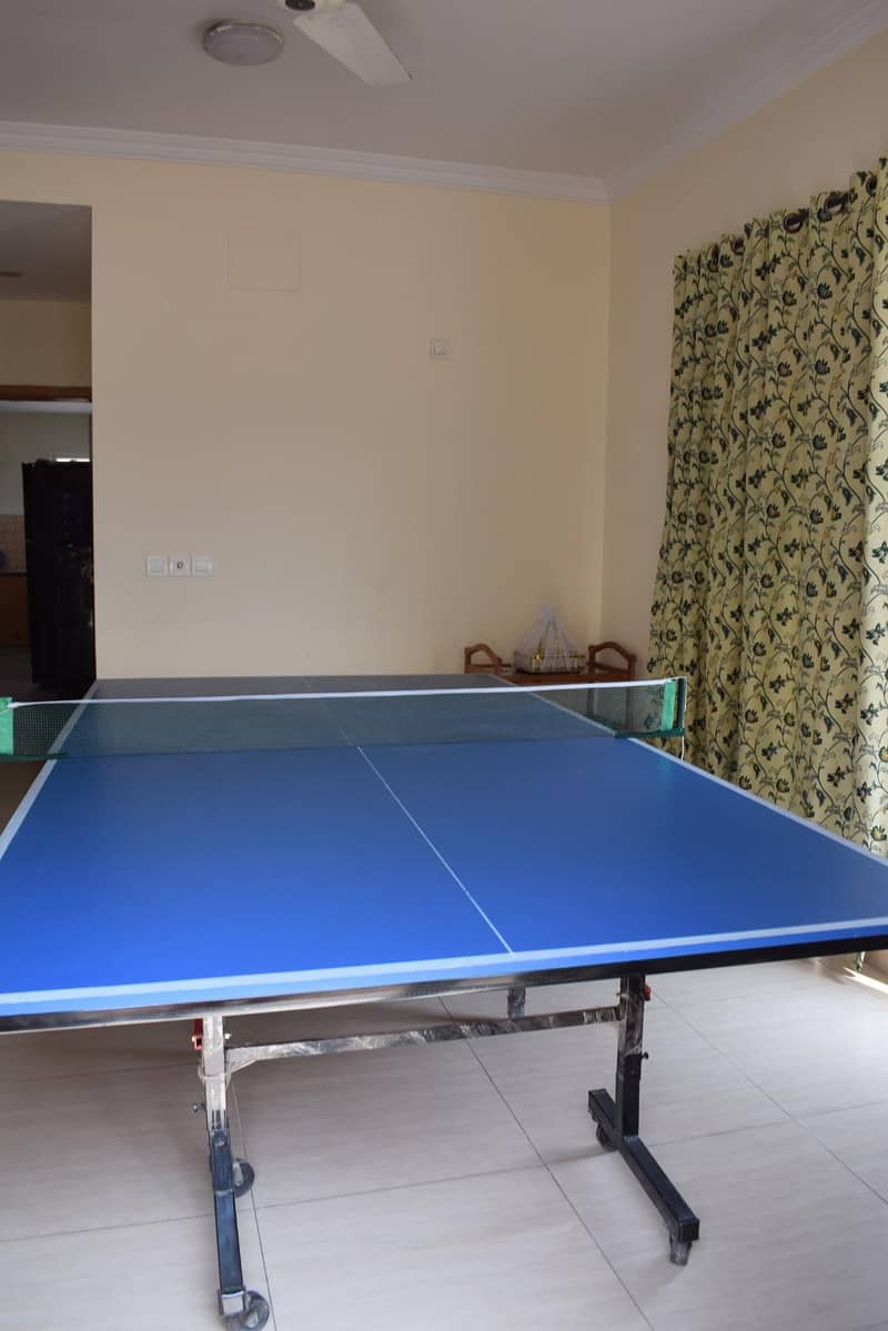 Table Tennis 0