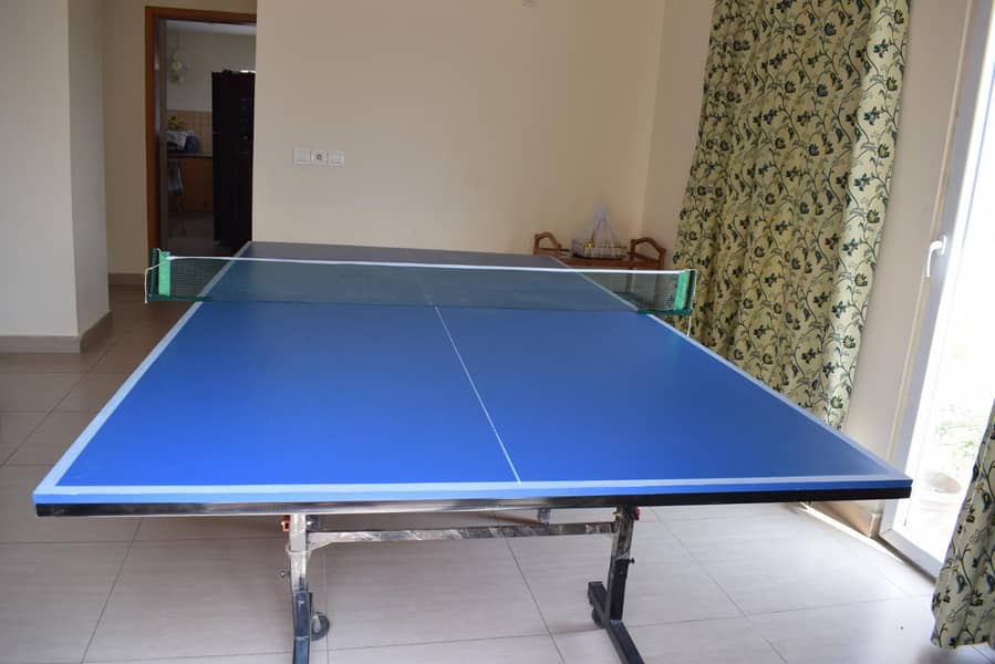 Table Tennis 1