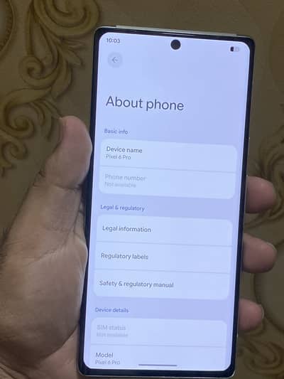 Google Pixel 6 Pro