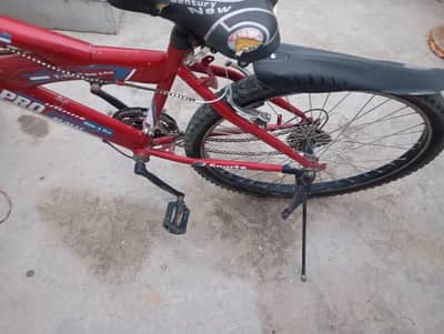 Mountain Cycle for sale