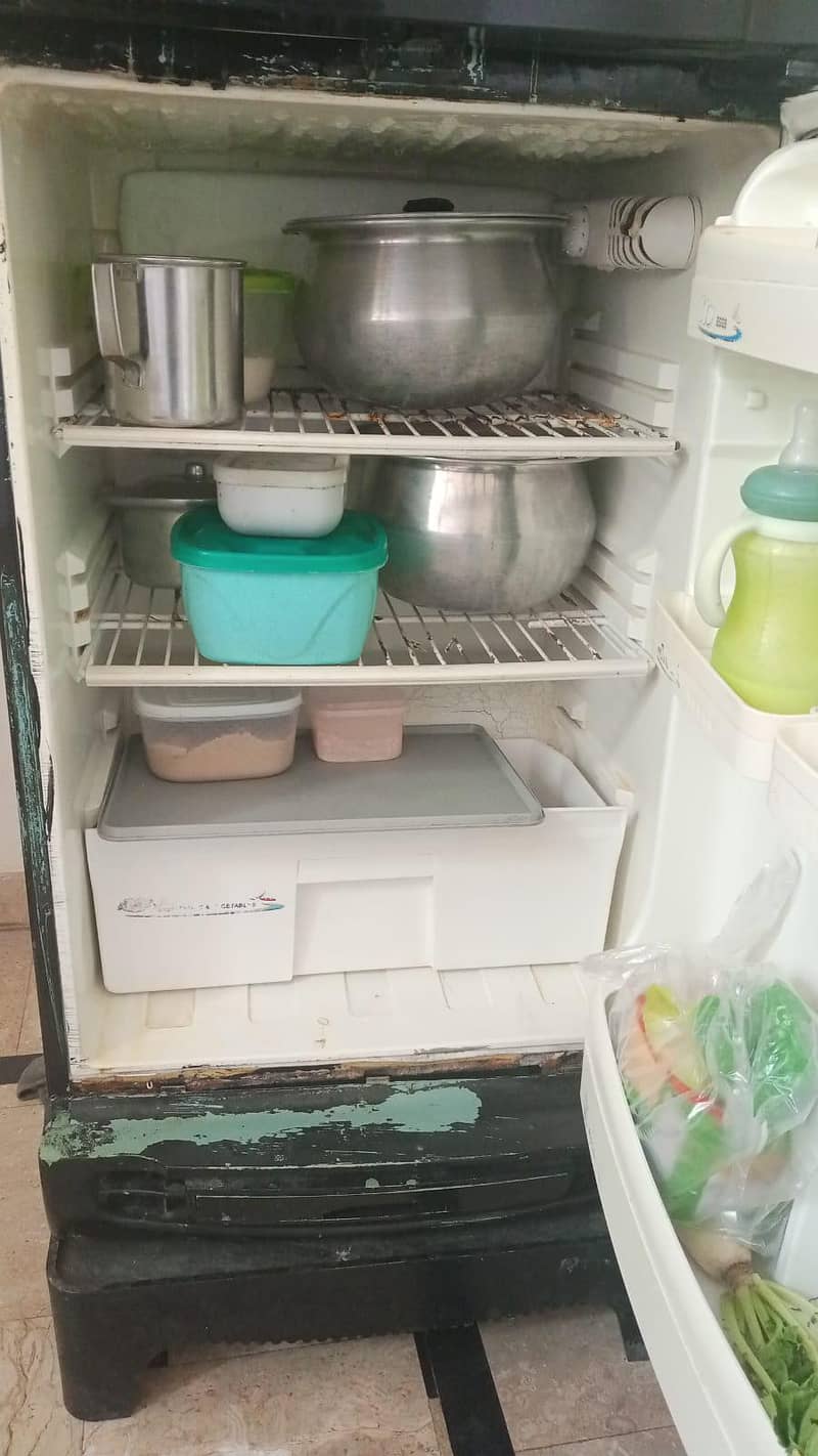pel refrigerator medium 1