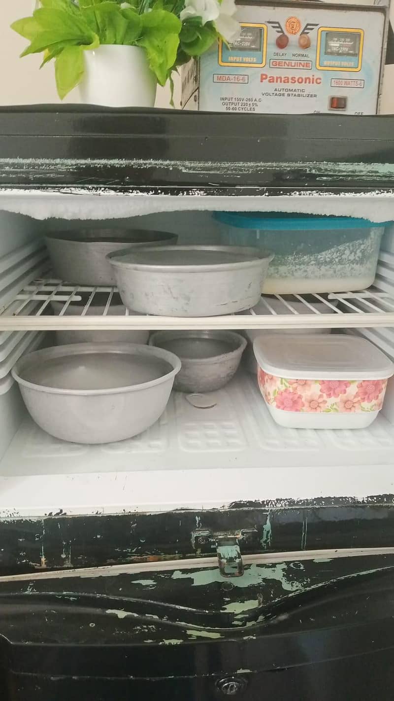 pel refrigerator medium 3