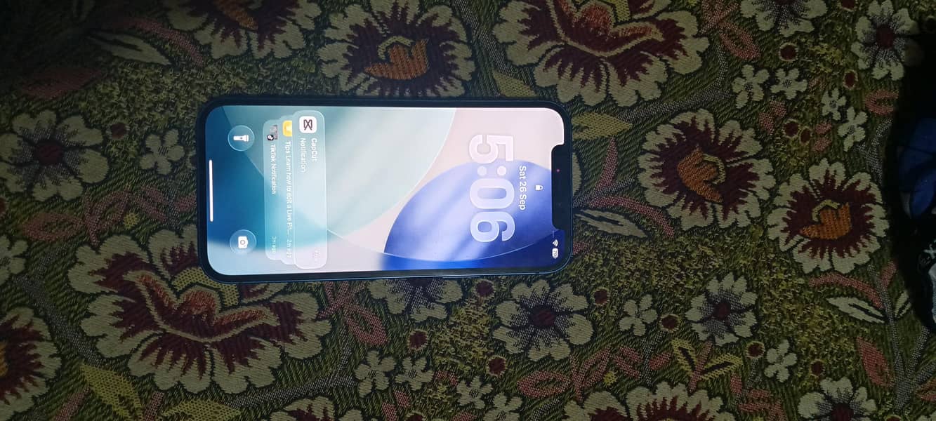 Apple iPhone 12 3
