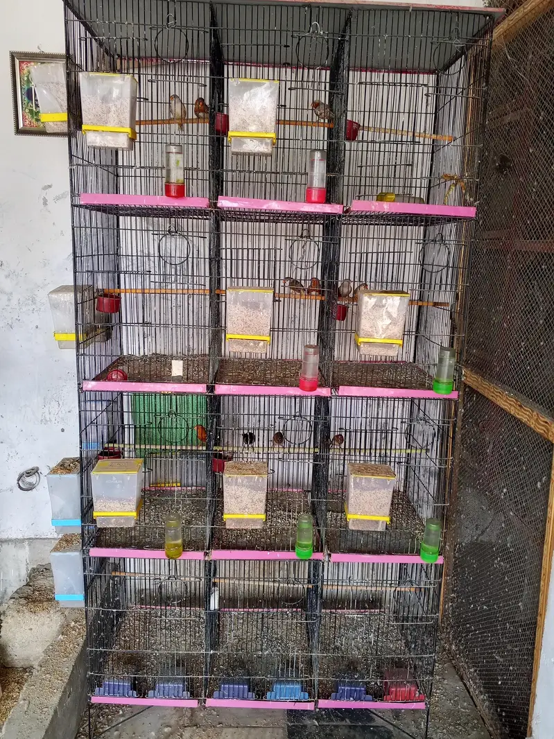 CAGES AVAILABLE FOR SALE — photo 3