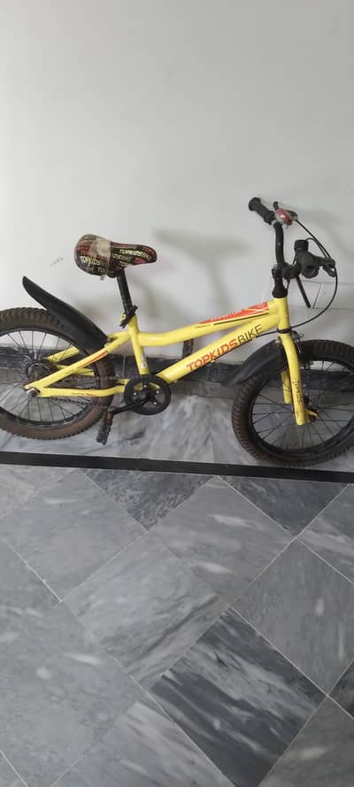 Top Kids Mountain Bike – 20-Inch Fat Tire