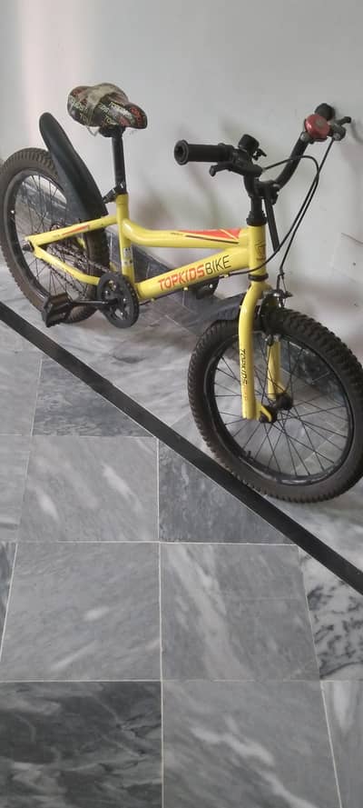 Top Kids Mountain Bike – 20-Inch Fat Tire