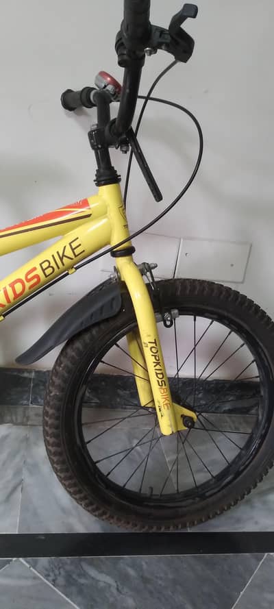 Top Kids Mountain Bike – 20-Inch Fat Tire