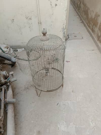 Bird Cage