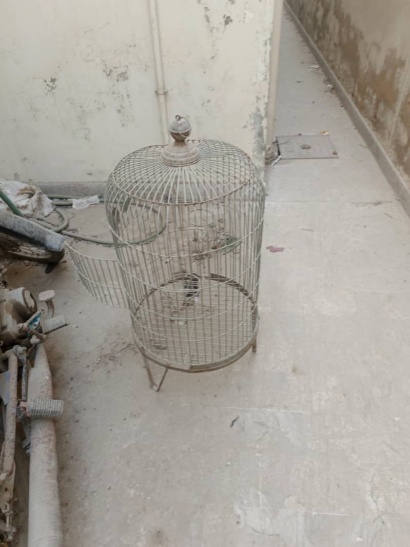 Bird Cage 0