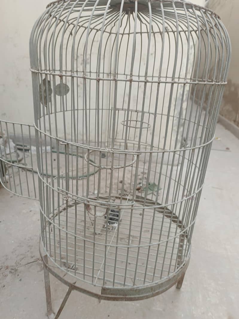 Bird Cage 1