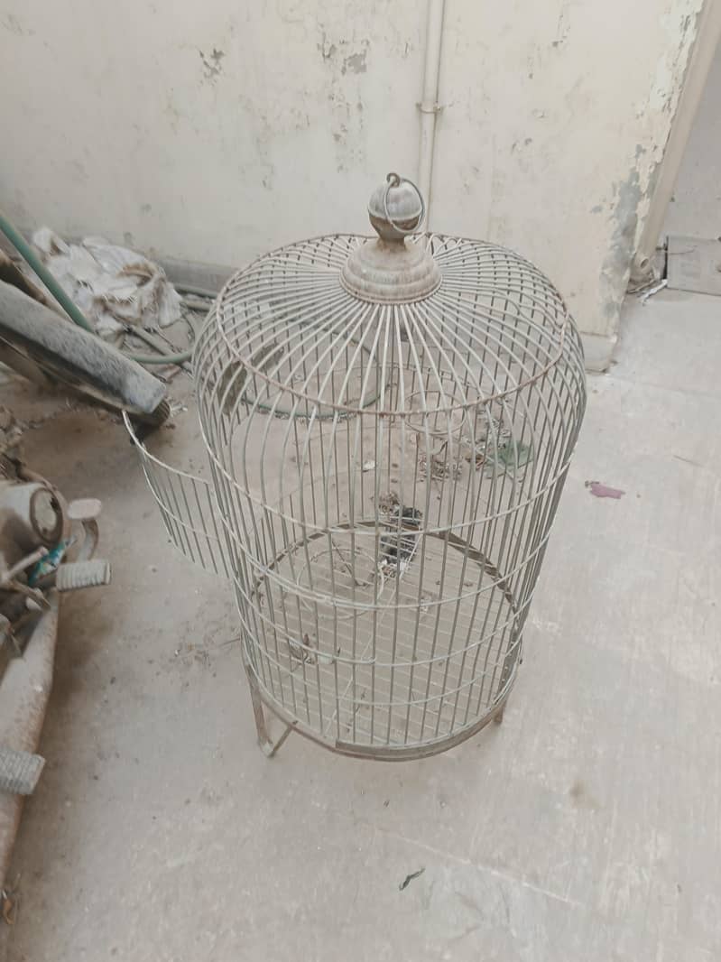 Bird Cage 2