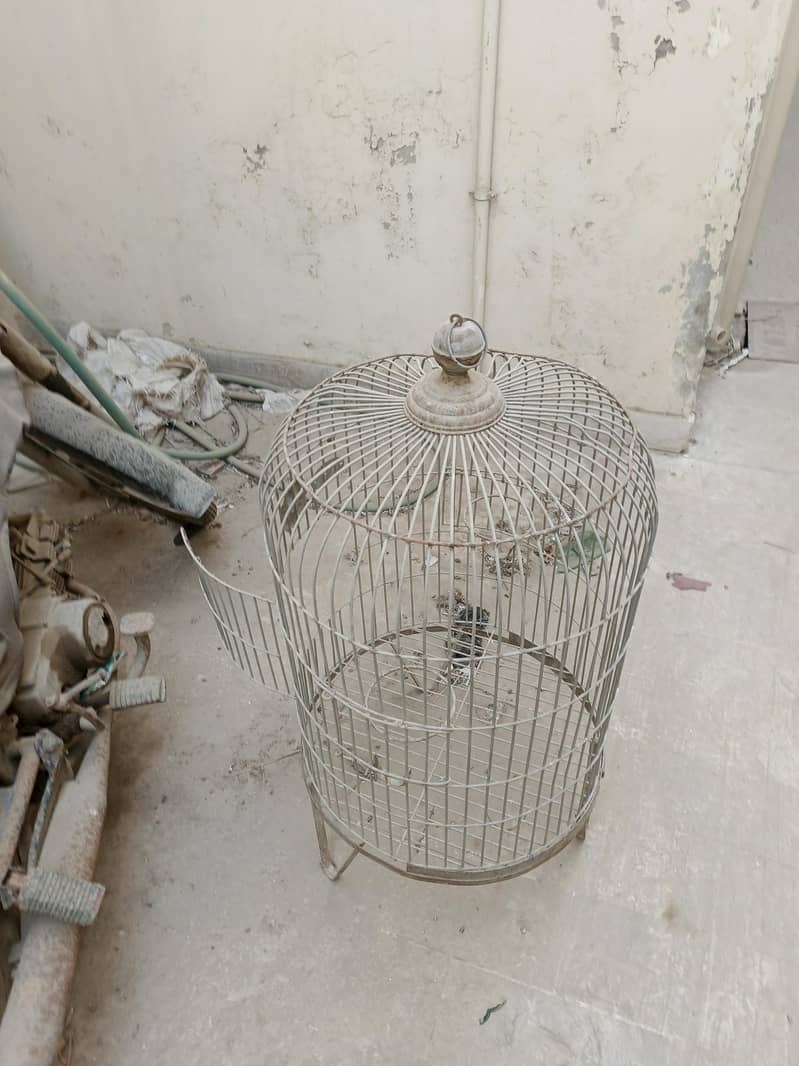Bird Cage 3