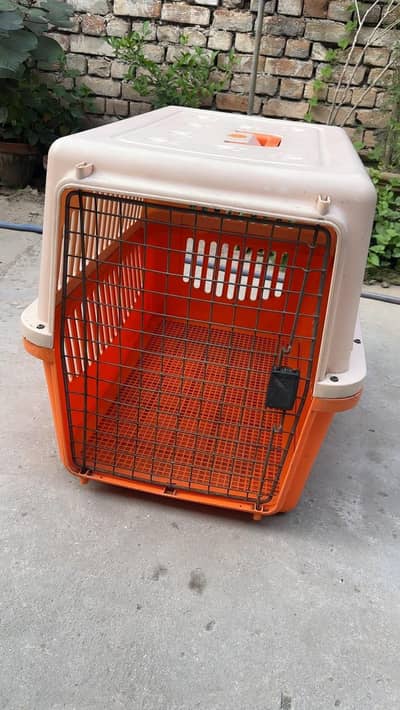 dog jet box