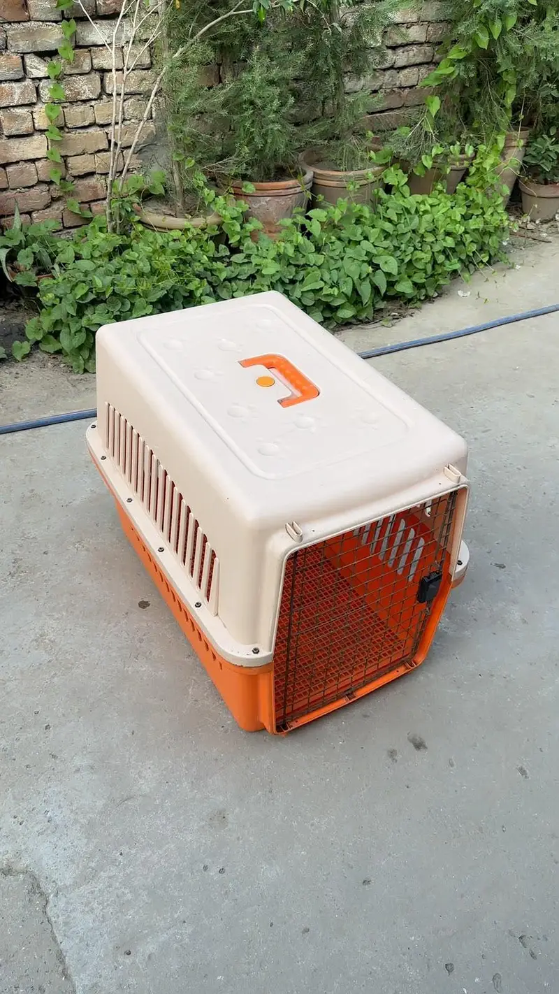 dog jet box — photo 3