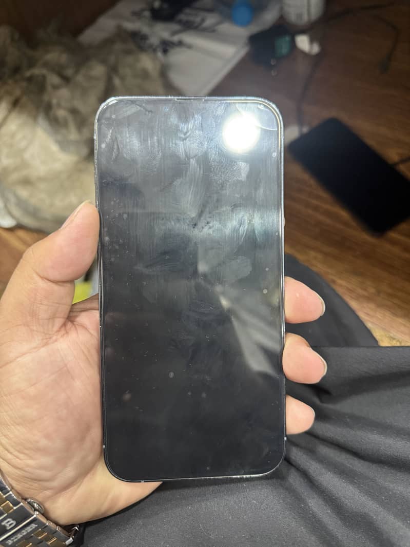Apple iPhone 13 Pro Max 1