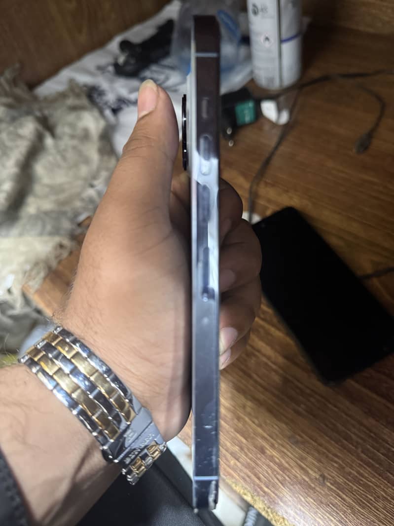 Apple iPhone 13 Pro Max 2
