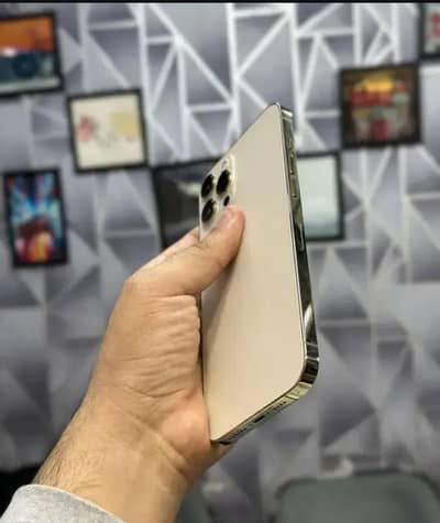 Apple iPhone 12 Pro Max