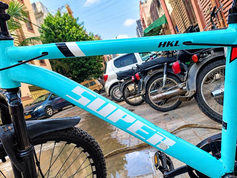 imported bicycle 1
