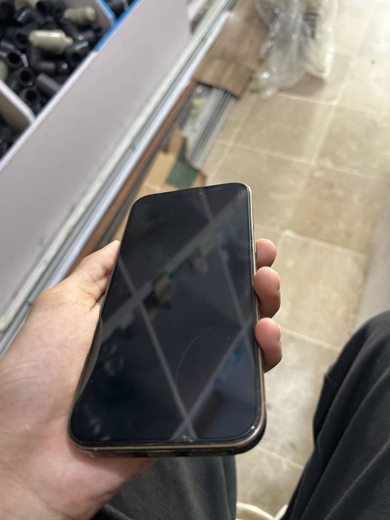 Apple iPhone 16 Pro Max 1