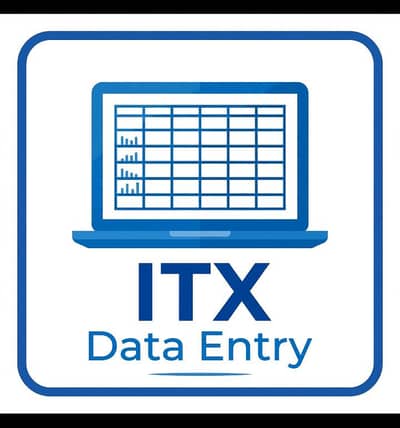 date entry service -excel google sheets