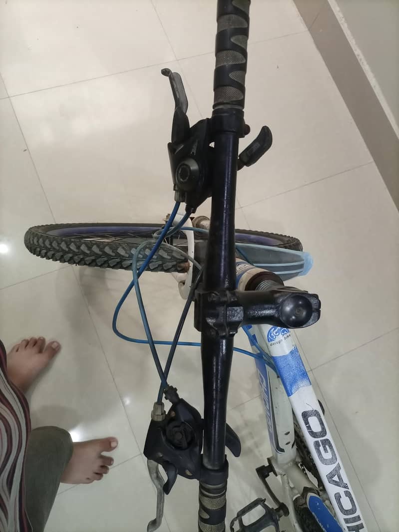 sold cycle 6