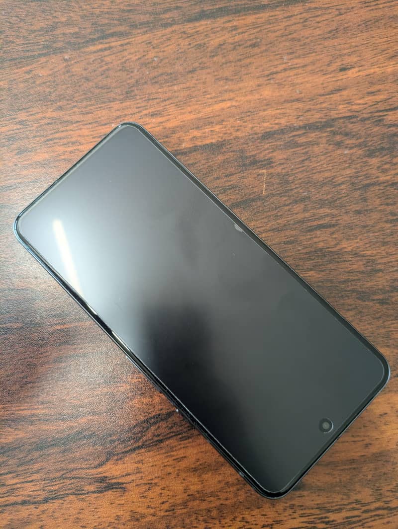 Google Pixel 8 panel line 2