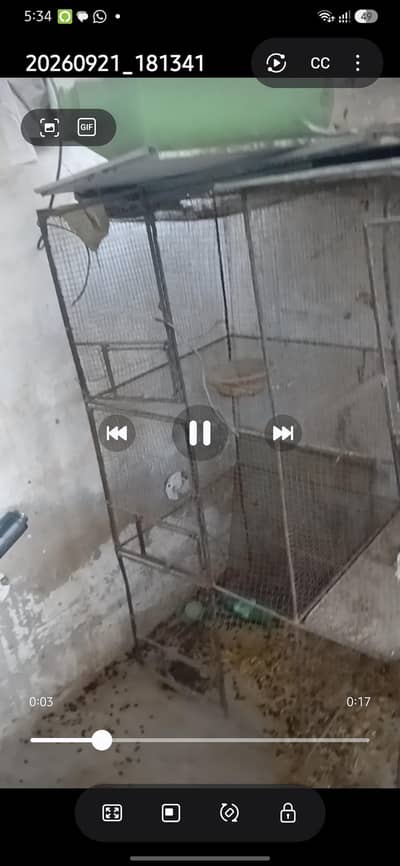 6 portion cage (pinjra) with 6 trays