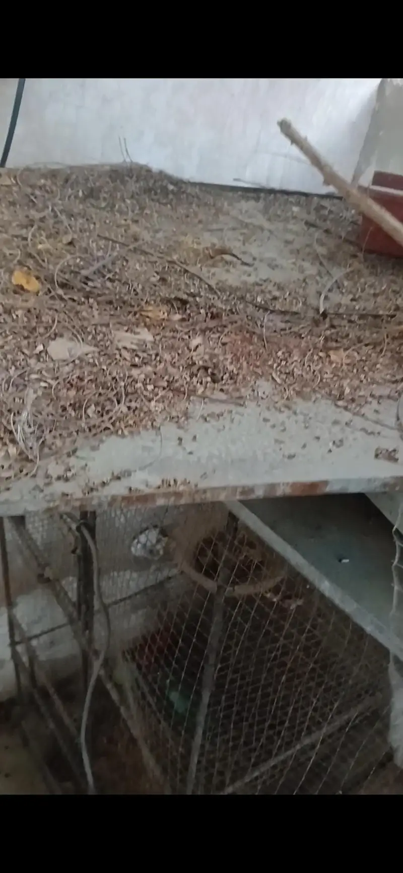 6 portion cage (pinjra) with 6 trays — photo 2