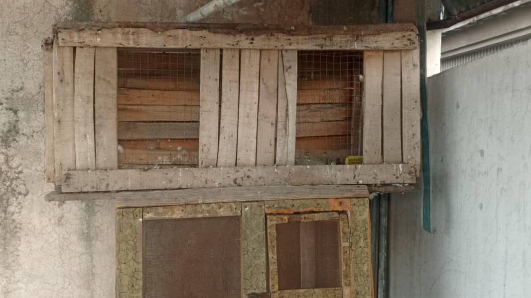 cages 1