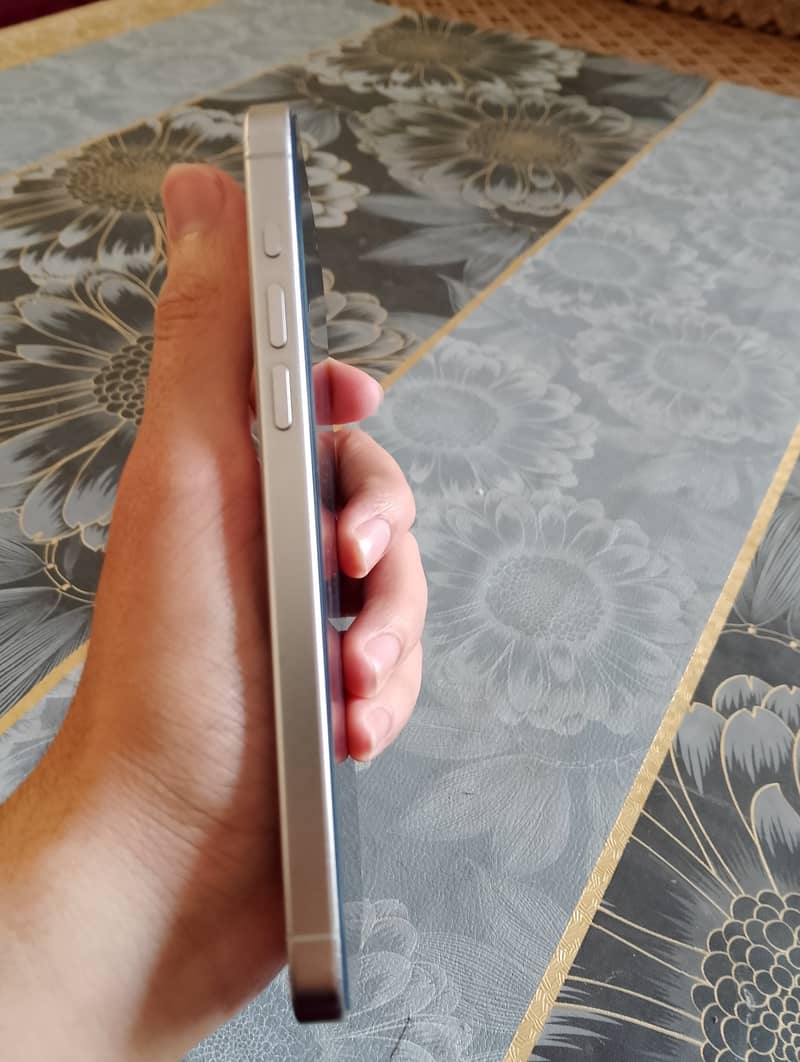 Apple iPhone 15 Pro Max 4