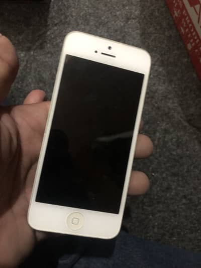 iPhone 5 original penal available