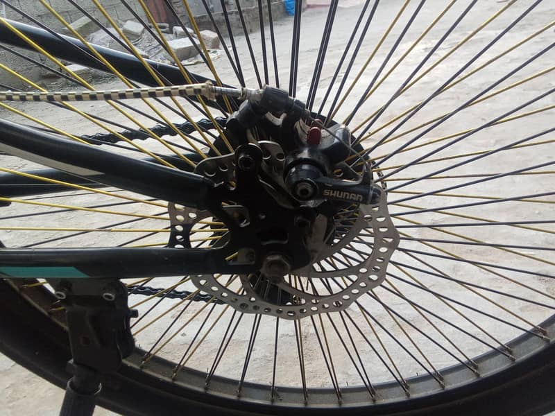Morgan Cycle 2