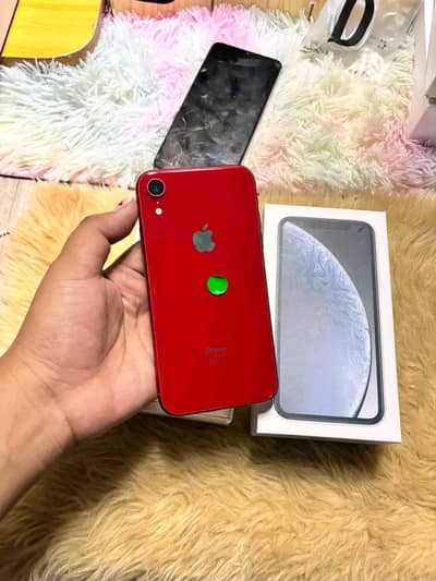 Apple iPhone XR 128 GB Memory Pta Approved. 0324=8192=982