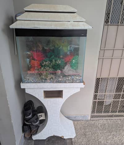 2ft Fish Aquarium