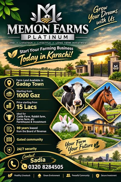 Memon Farms houses near Gulshan e Maymar